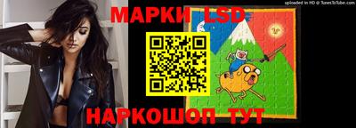 меф Гатчина