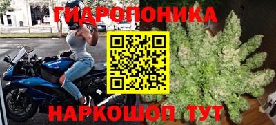 крисы Волгодонск