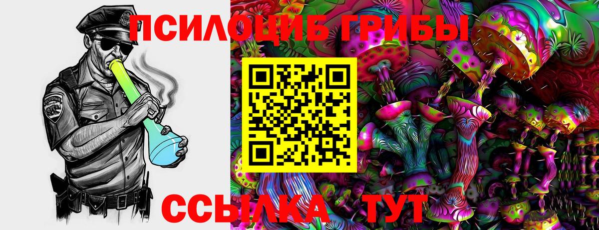 Псилоцибиновые грибы ЛСД Асино