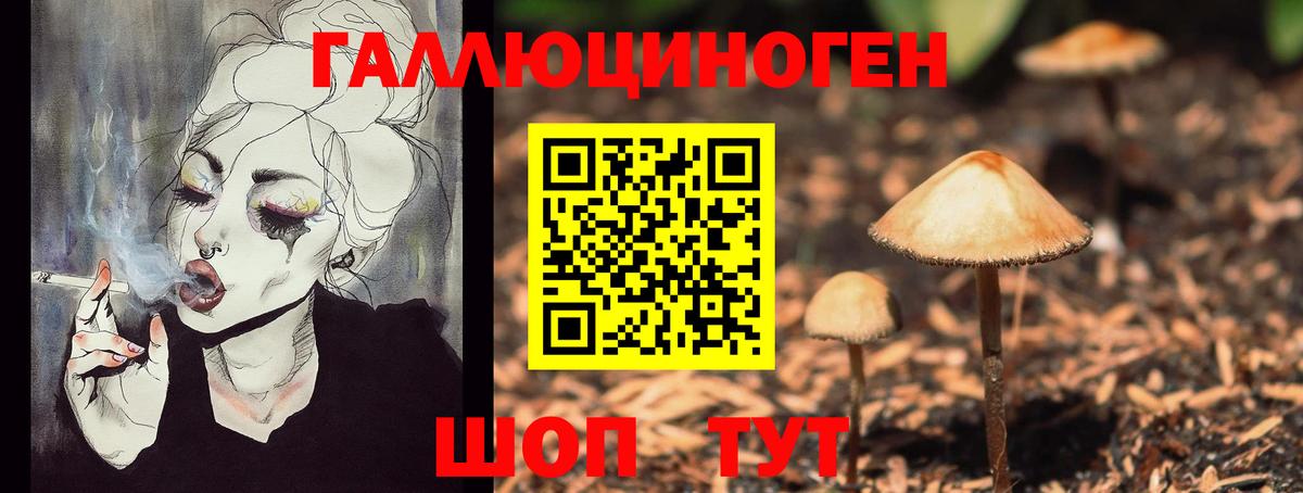 Псилоцибиновые грибы прущие грибы  Галлюциногенные грибы Cubensis  наркота  Вход с VPN  Асино 